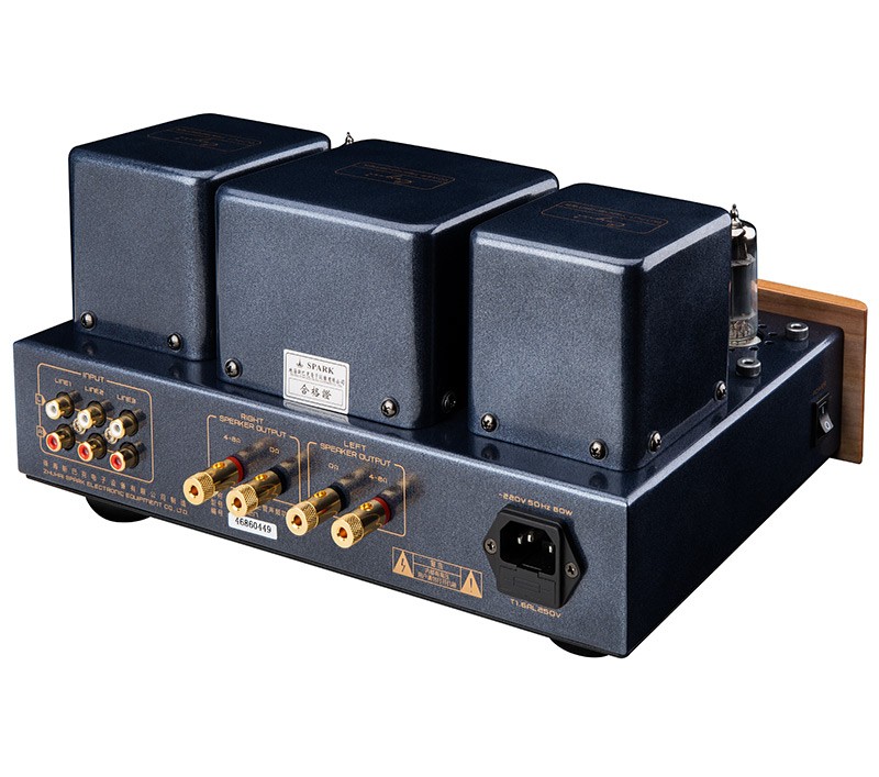 Cayin MT-12N