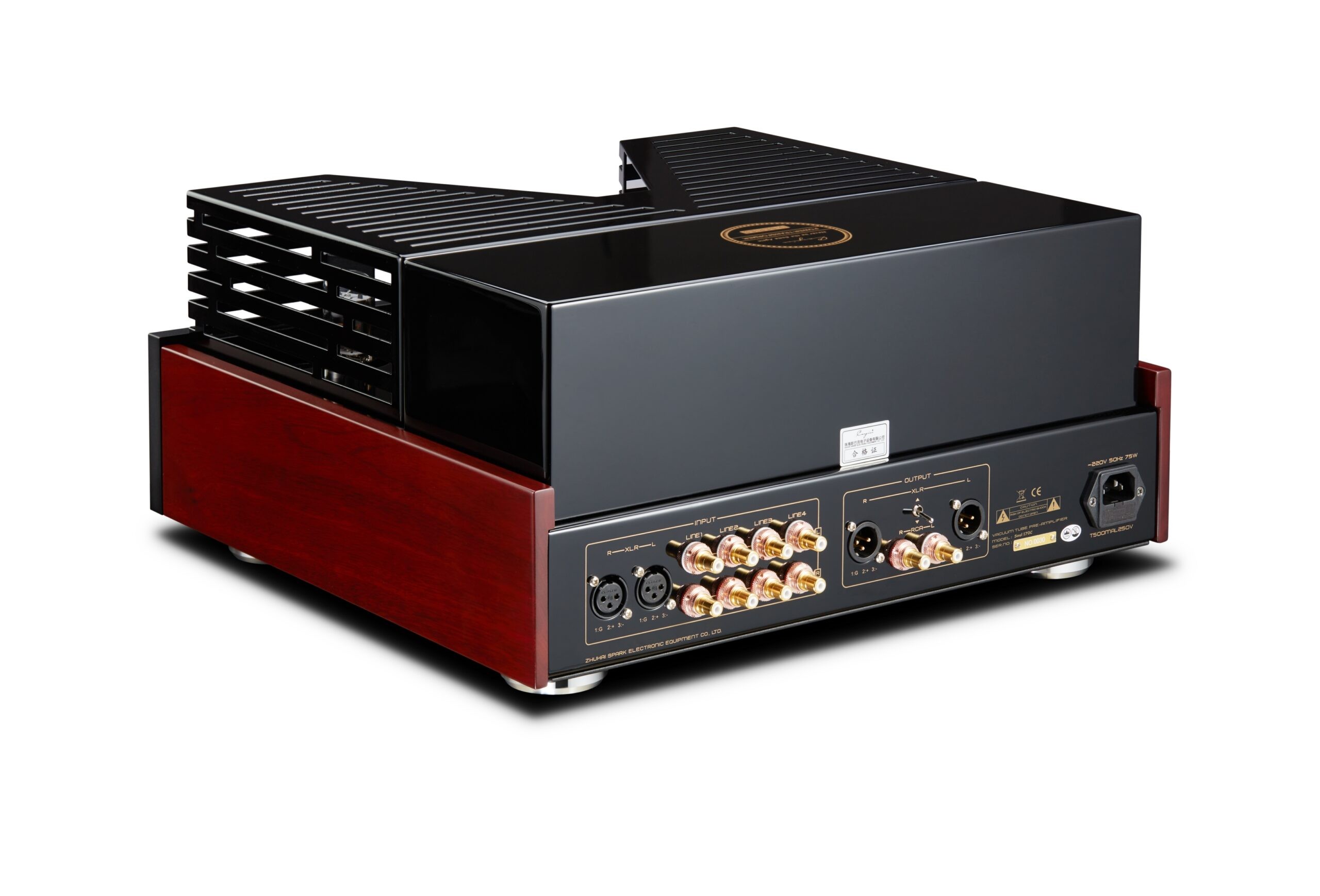 Cayin Soul 170C