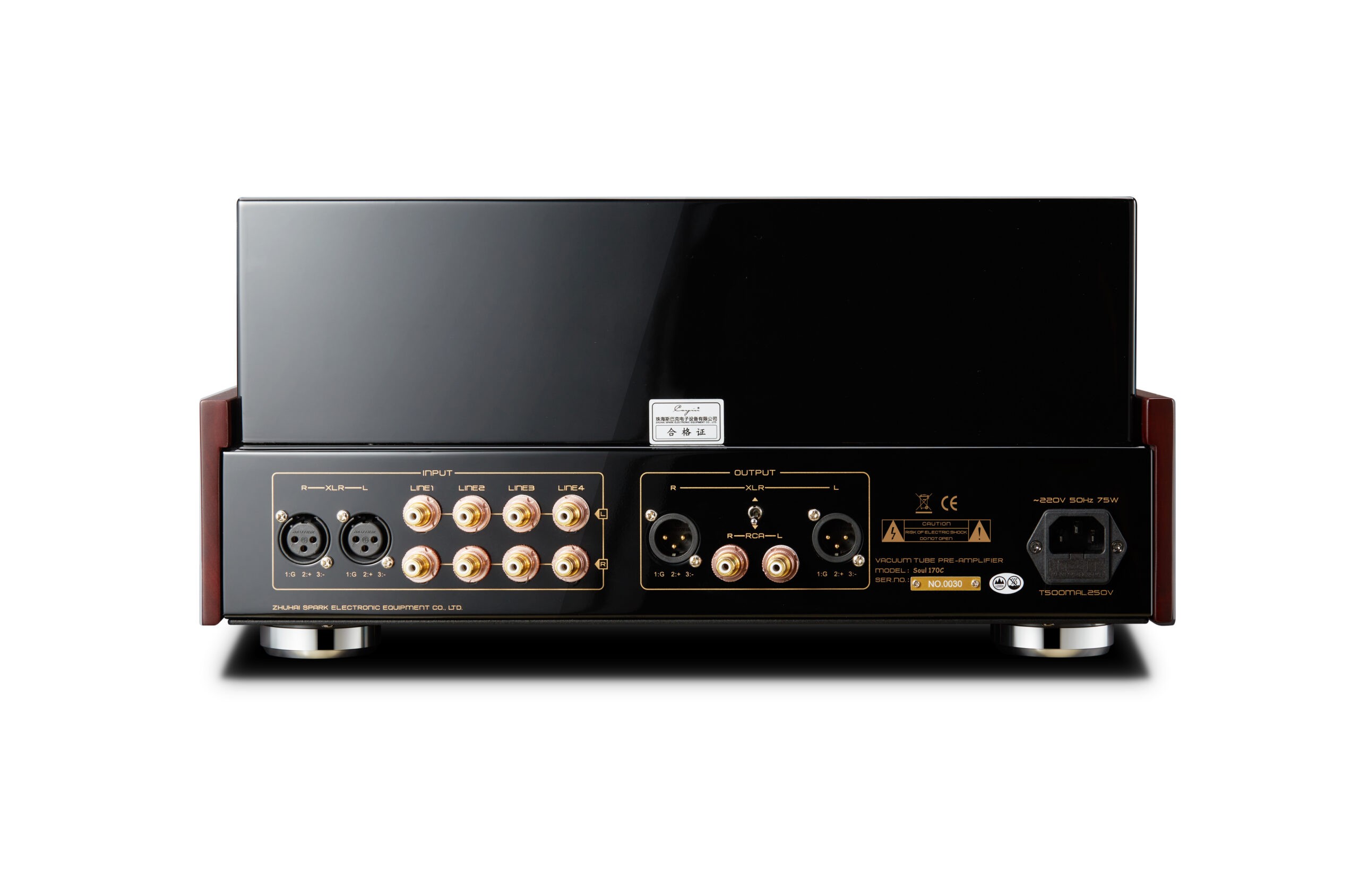 Cayin Soul 170C