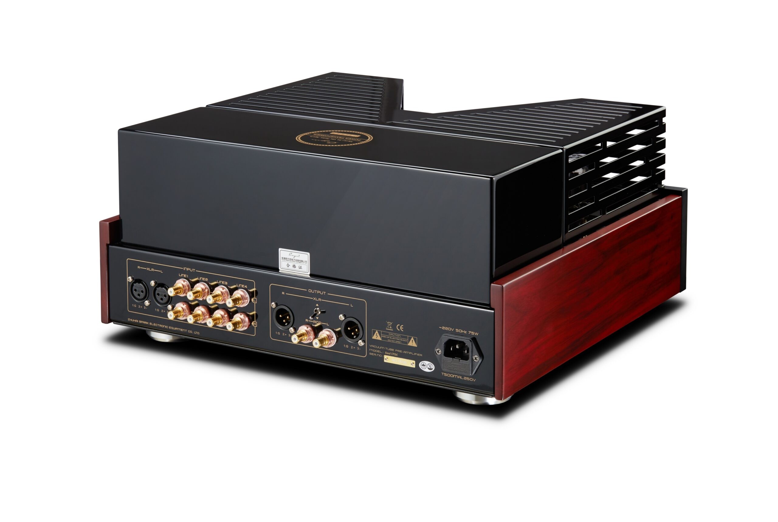 Cayin Soul 170C