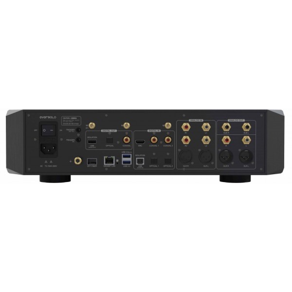 EverSolo DMP-A10