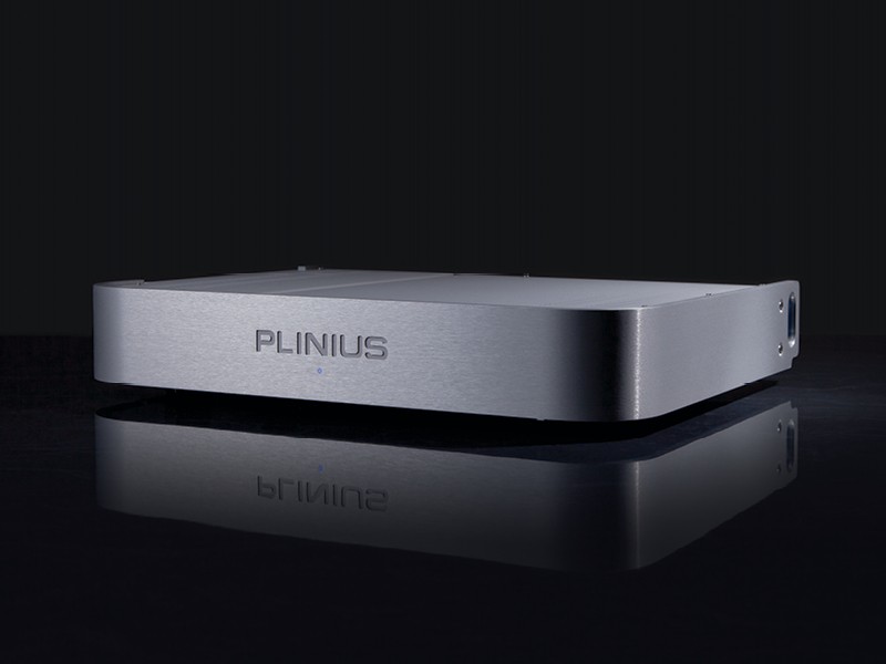 Plinius Koru